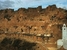 Out of the Ordinary Hidden culture - Tunisia Sousse - Tour - photo image